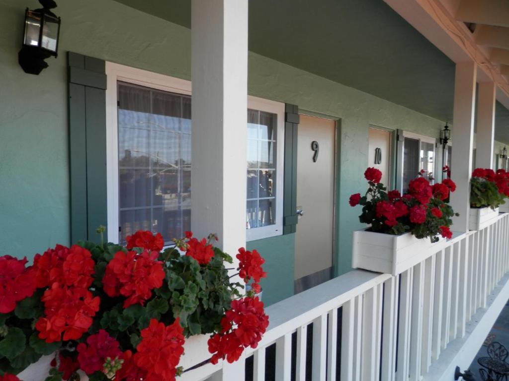 Villa Franca Inn モントレー エクステリア 写真